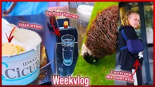 Check-up after surgery, Sitting on the terrace, Going to the City Farm, Eating ice cream Weekvlog270