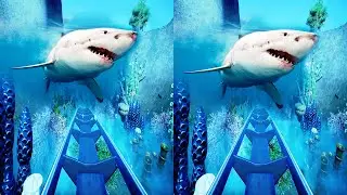 3D Roller Coaster Underwater Wonderland VR Videos 3D SBS [Google Cardboard VR Experience] VR Box VR