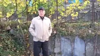 Protecting grapes, bird pests, protect grapes from birds