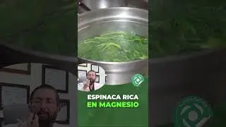 Aprovecha los Beneficios de la Espinaca - Conferencia # 75 Contra las Enfermedades - Dr Benjamín PhD