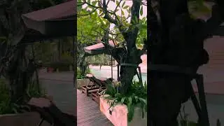 Bali. Kempinski.