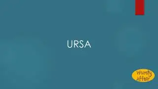 Ursa Meaning