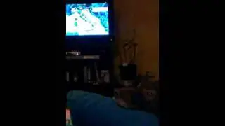 Cane infastidito dalle sigle Meteo e del Tg 5 !!!
