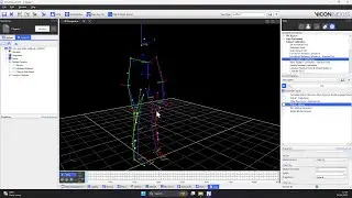 Modelling with CGM2 in Vicon Nexus