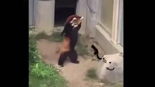 юмор дня 0403