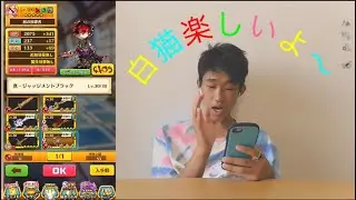白猫みんなもやろ〜
