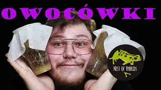 HODOWLA MUSZEK OWOCÓWEK - Jak zacząć?