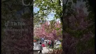 Я не міг втриматись, чесні емоції ))))