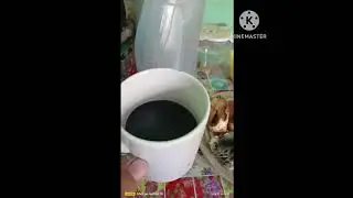 Drinking Calabash or Miracle Fruit Juice/Genior Sotasn