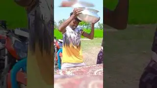 Tou Tui best comedy funny video shorts #viral #shorts