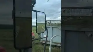 #2024 #farming #agriculture #сезон #jaguar #сельскоехозяйство #сенаж #уборка #заготовкакормов