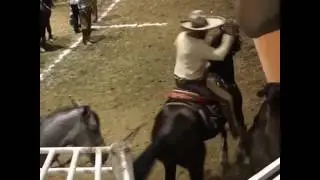 Torneo Arena Vallarta 2017