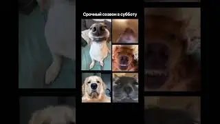 Желаем вам хороших выходных | BotHelp