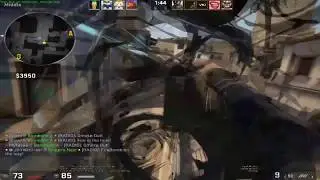 An Average Tanner1 Pug