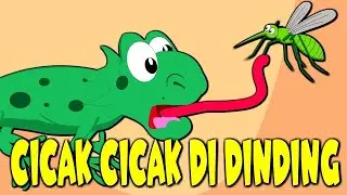 Lagu Anak Cicak Cicak Di Dinding  LAGU ANAK INDONESIA