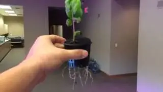LED vs CFL Multi-Layer Warehouse Basil Farming