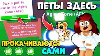 😱НАШЛА СЕКРЕТНЫЙ СЕРВЕР Адопт Ми для АФК ПРОКАЧКИ ПЕТОВ! Обновление Adopt Me Roblox