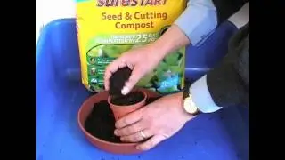Tomato Growing - Day 1 - Sowing Seeds