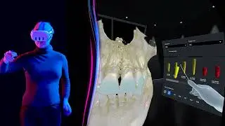 Planmeca Romexis VR®