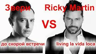 Звери vs Рики Мартин (до скорой встречи vs living la vida loca) mashup