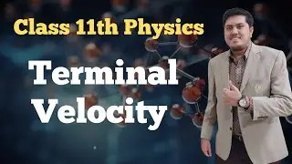 Terminal Velocity in Urdu/Hindi | Class 11 Physics