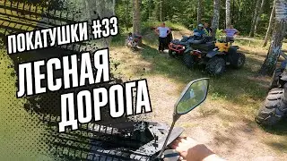 КВАДРОЦИКЛЫ ПО СТАРОЙ ЛЕСНОЙ ДОРОГЕ