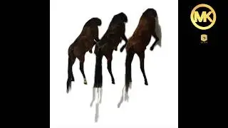 Horse Vision - Segundi Garinasso [MK PREMIERE]