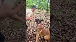 RESTE ICI SI JE TE VEXE 😂