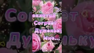 @_0104  #видео #видеооткрытки #длявас #срождеством #добройночи