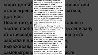 Ответ на вопросы.