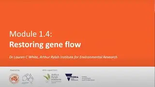Module 1.4: Restoring gene flow