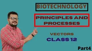 Biotechnology Principles and Processes-Vectors Class 12 Part 4