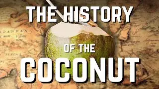The Incredible Stories of the 