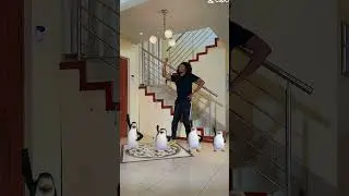 Penguins Of Madagascar Dancing to Amapiano 🔥😂 #Mnganiwami