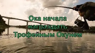 Отводной поводок на Оке | Ловля на Спиннинг с берега