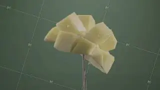 Mango rotating with loop on green screen for chroma key