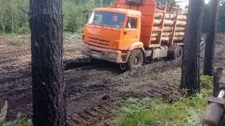 1 августа 2023 г.