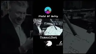 Field of Unity