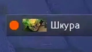 Шкура))