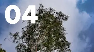 A Time Lapse A Day - 41 - April 29, 2019 (4K)