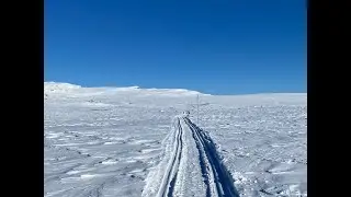 Kvisting i Langsua nasjonalpark