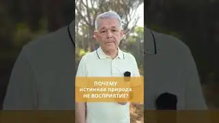 Почему истинная природа не восприятие?