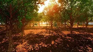 Tutorial how to create 3d nature scene using c4dtoa and photoshop cc