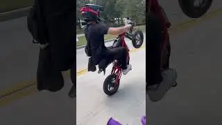 Surronster in Texas