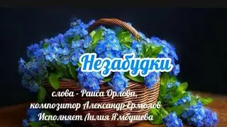 Незабудки, красивая песня. На видео незабудки в моём саду, зацвели в конце апреля 