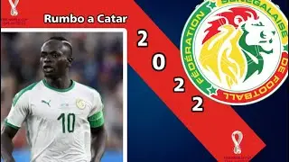 ¡Lo que no sabías de la Selección de Senegal! 🇸🇳😱