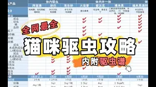 全网最全猫咪驱虫攻略，内附驱虫谱 从此给猫驱虫不求人，答案全在这里~