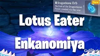 Lotus Eater Hidden quest  | Enkanomiya | Genshin impact