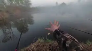 Майский карась 2019. Очень голодный.