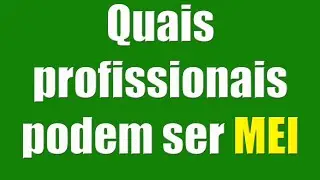 Quais profissionais podem ser MEI